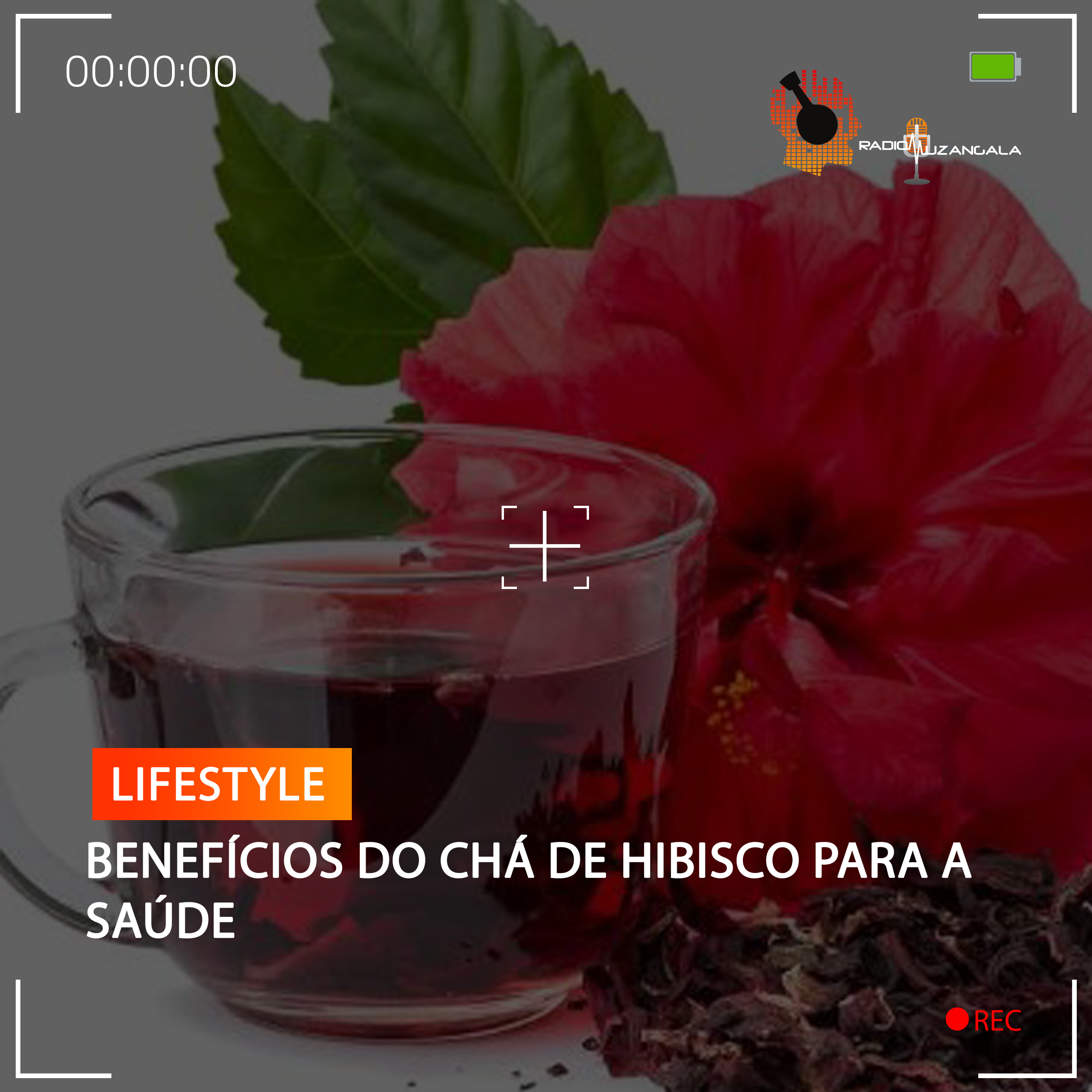 BENEFÍCIO DO CHÁ DE HIBISCO PARA A SAÚDE