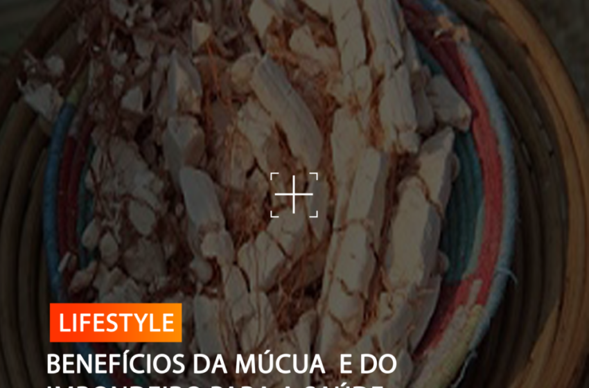  BENEFÍCIOS DA MÚCUA  E DO IMBONDEIRO PARA A SAÚDE