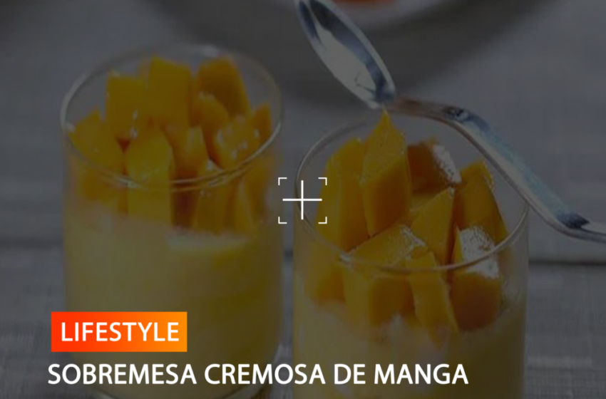 SOBREMESA CREMOSA DE MANGA