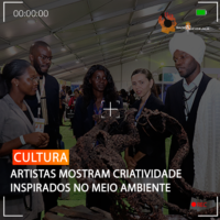 ARTISTAS MOSTRAM CRIATIVIDADE INSPIRADOS NO MEIO AMBIENTE
